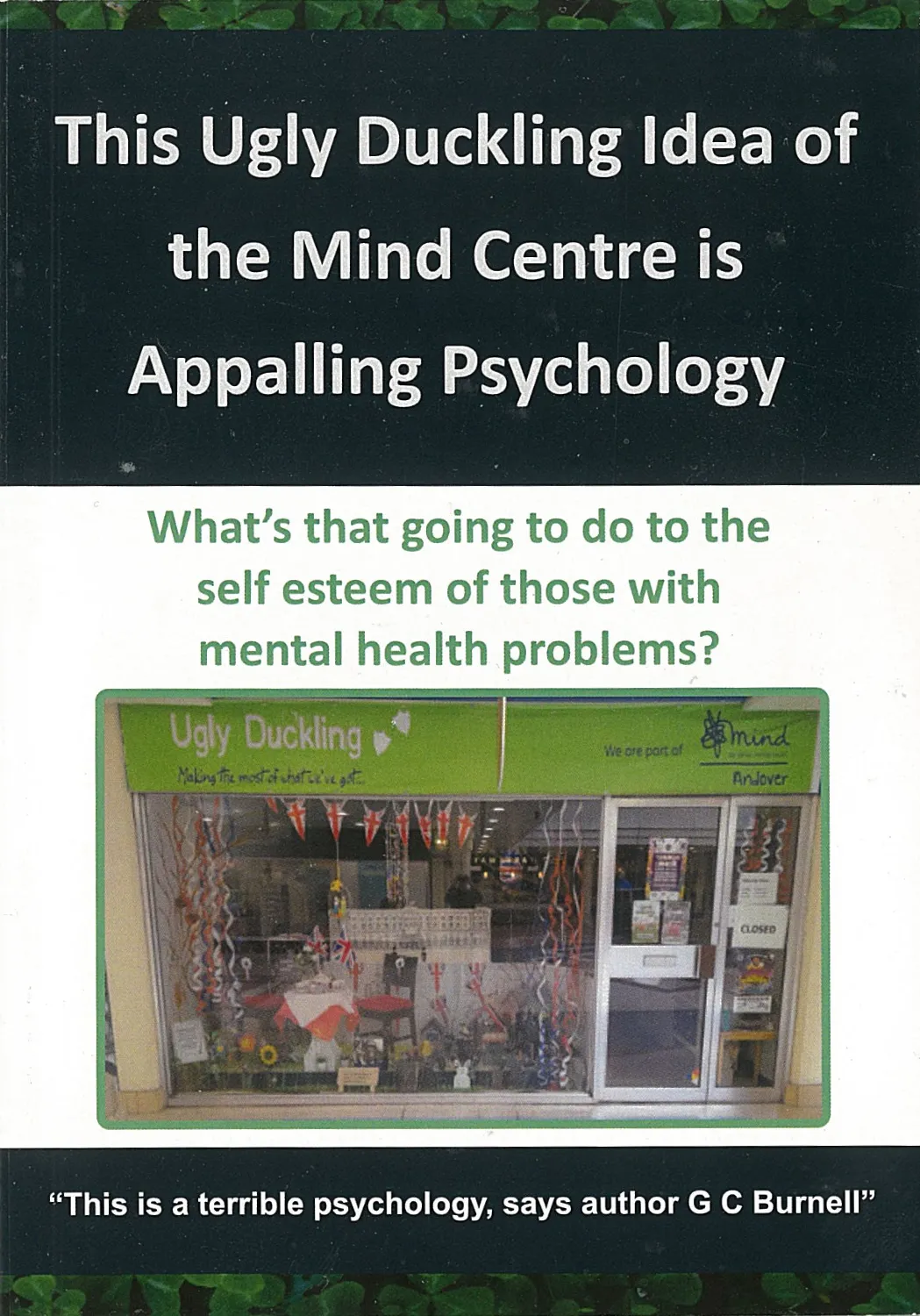 Mental Health Concerns Book Cover